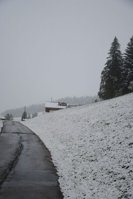 normal_190911schneesfaktivnews003.jpg