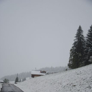normal_190911schneesfaktivnews003.jpg