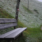 normal_190911schneesfaktivnews012.jpg