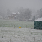 normal_190911schneesfaktivnews017.jpg