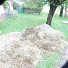 normal_19092011brandffaktivnews_05.jpg