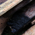 normal_19092011brandffaktivnews_35.jpg