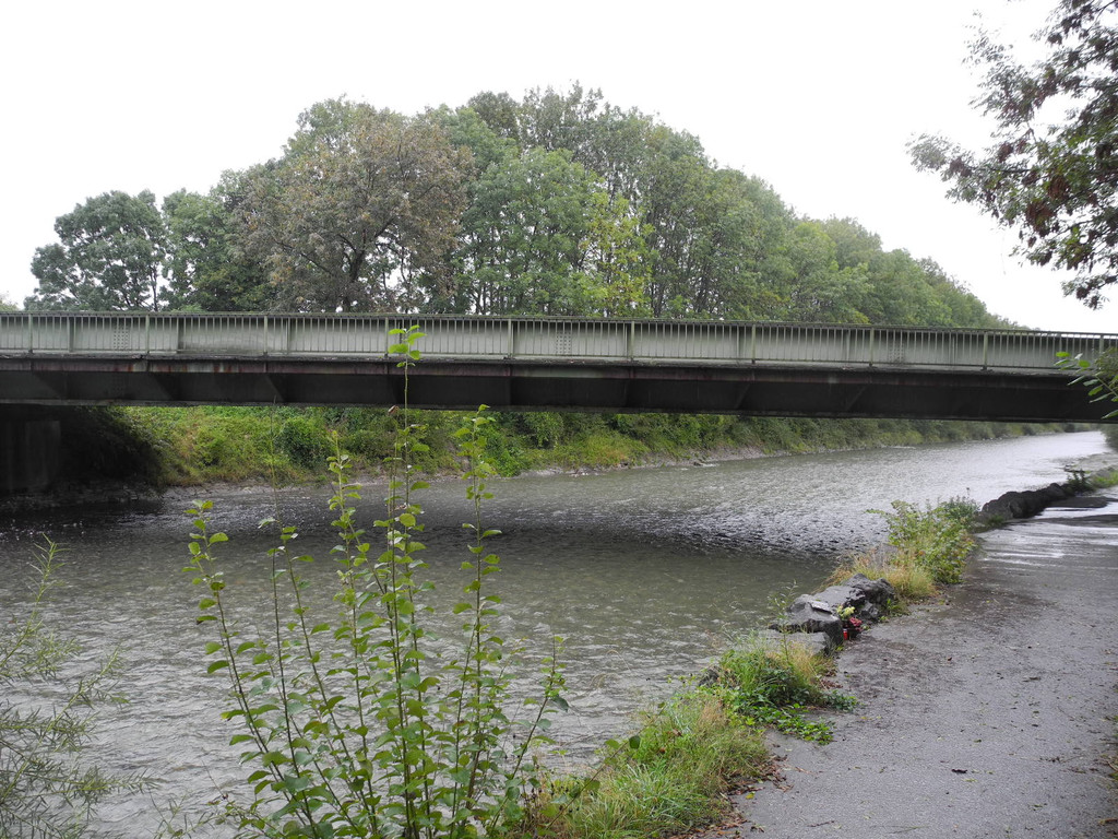 DSCN8835_JPG-1316499303