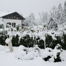 normal_19092011fmt_schneegastein_ex_02.jpg