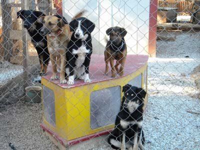 DSCN4605.jpg