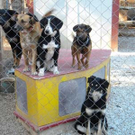 DSCN4605.jpg