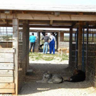 DSCN4818.jpg