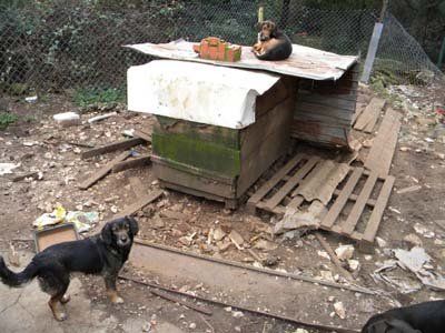 DSCN4929.jpg