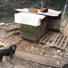 DSCN4929.jpg