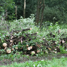 normal_20092011fmt_baustelleanif_ta_008.JPG