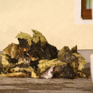 normal_20092011fmt_brandseekirchen_ta_010.jpg