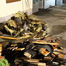 normal_20092011fmt_brandseekirchen_ta_024.jpg