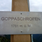 KOE_Gipfelkreuz Goppaschrofen 33_jpg-1316588558