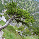 KOE_Gipfelkreuz Goppaschrofen 34_jpg-1316588568