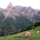 KOE_Gipfelkreuz Goppaschrofen 51_jpg-1316588685