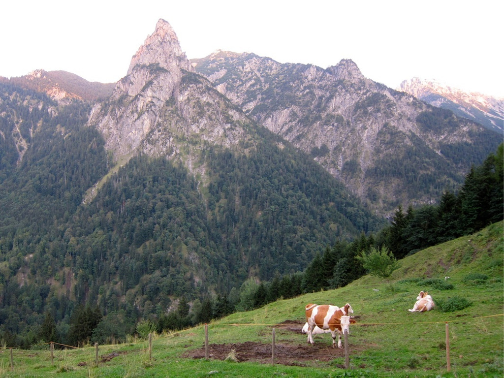 KOE_Gipfelkreuz Goppaschrofen 51_jpg-1316588685