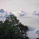 Bilder vom ersten Schnee
