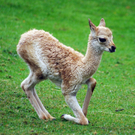 ABD0044-20110921.jpg