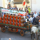 normal_21092011fmt_ruperti_ta_009.jpg