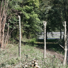 normal_21092011baustellesuedffaktivnews_47.jpg
