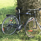 dst-46466.JPG