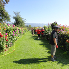 DSC00711_JPG-1316636740