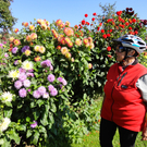 DSC00712_JPG-1316636862