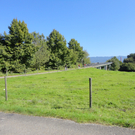 DSC00720_JPG-1316637115