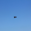 normal_210911polizeigmaktivnews16.jpg