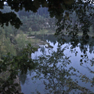 dst-46473.JPG