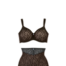 triumph_elegant_sensation_W_HWPAN_still_aw11.jpg