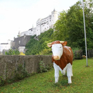 normal_22092011fmt_feuerwerkaufbau_mw_004.jpg