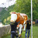 normal_22092011fmt_feuerwerkaufbau_mw_016.jpg