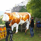 normal_22092011fmt_feuerwerkaufbau_mw_017.jpg