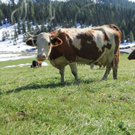 normal_210911wettergmaktivnews05.jpg