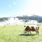 normal_210911wettergmaktivnews06.jpg