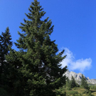 normal_210911wettergmaktivnews14.jpg
