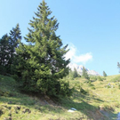 normal_210911wettergmaktivnews15.jpg