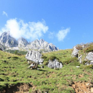 normal_210911wettergmaktivnews17.jpg