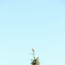 normal_210911wettergmaktivnews23.jpg