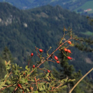 normal_210911wettergmaktivnews26.jpg