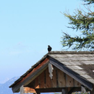 normal_210911wettergmaktivnews46.jpg