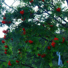 normal_210911wettergmaktivnews55.jpg