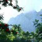 normal_210911wettergmaktivnews57.jpg