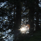 normal_210911wettergmaktivnews71.jpg