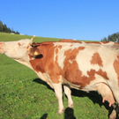 normal_210911wettergmaktivnews82.jpg