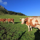 normal_210911wettergmaktivnews83.jpg