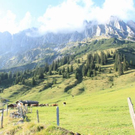 normal_210911wettergmaktivnews87.jpg
