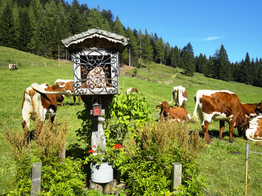 Wandertage Faistenau Bilder - 15_-18_9_2011 157_JPG-1316729046