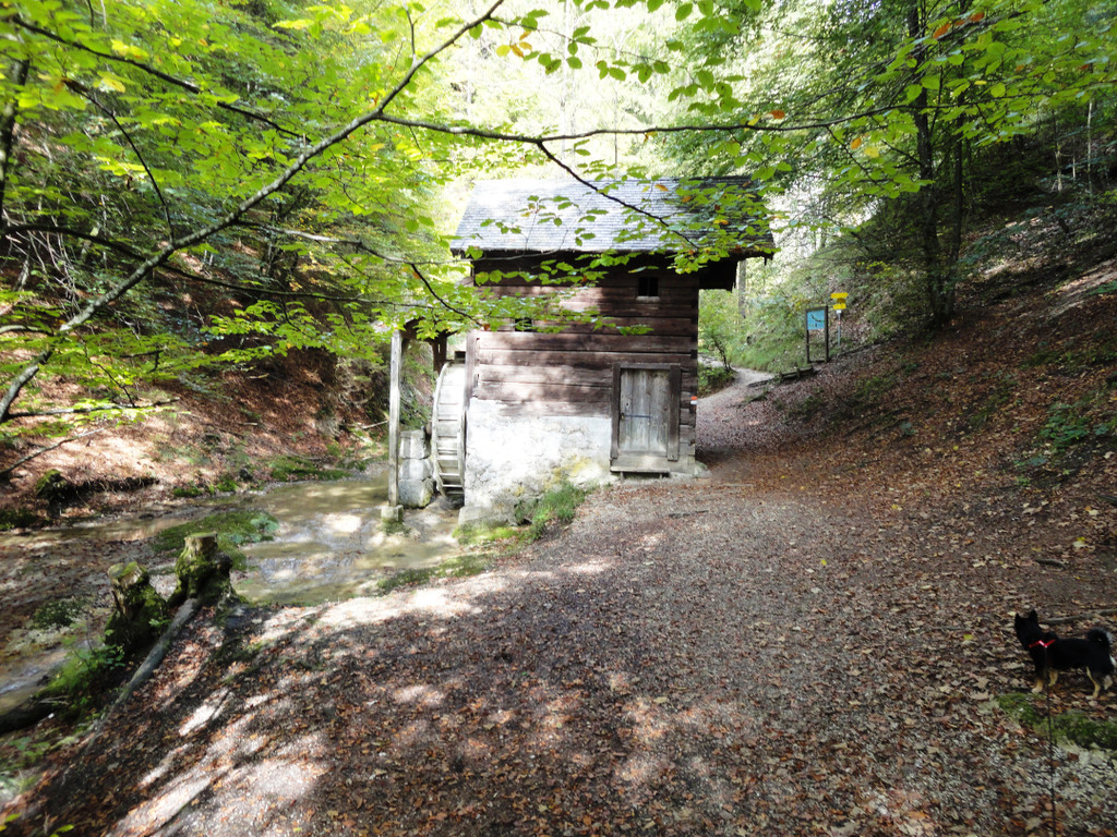 Wandertage Faistenau Bilder - 15_-18_9_2011 221_JPG-1316730231